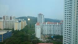 Skyline Residences (D4), Condominium #165202832